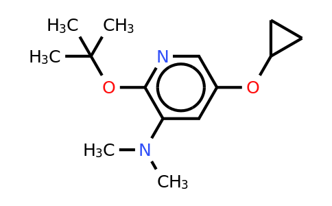 CAS 1243323-97-8 | 2-Tert-butoxy-5-cyclopropoxy-N,n-dimethylpyridin-3-amine