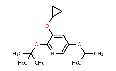 CAS 1243324-32-4 | 2-Tert-butoxy-3-cyclopropoxy-5-isopropoxypyridine