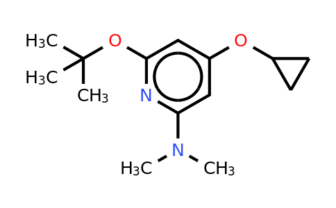 CAS 1243324-68-6 | 6-Tert-butoxy-4-cyclopropoxy-N,n-dimethylpyridin-2-amine