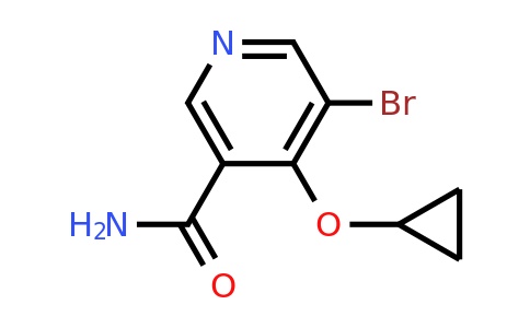 CAS 1243326-71-7 | 5-Bromo-4-cyclopropoxynicotinamide