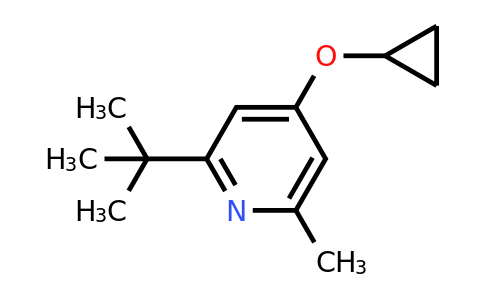 CAS 1243329-14-7 | 2-Tert-butyl-4-cyclopropoxy-6-methylpyridine
