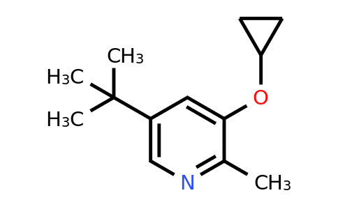 CAS 1243329-37-4 | 5-Tert-butyl-3-cyclopropoxy-2-methylpyridine