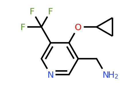 CAS 1243329-61-4 | (4-Cyclopropoxy-5-(trifluoromethyl)pyridin-3-YL)methanamine