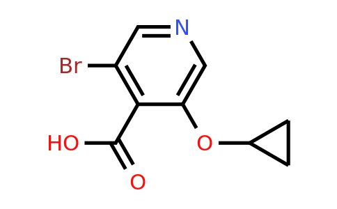 CAS 1243345-18-7 | 3-Bromo-5-cyclopropoxyisonicotinic acid