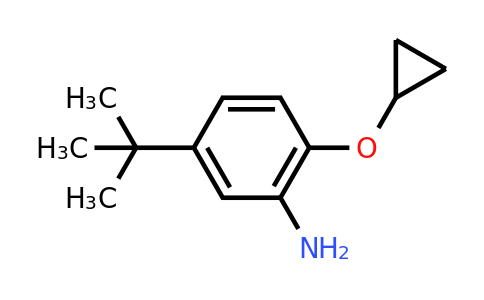 CAS 1243345-62-1 | 5-Tert-butyl-2-cyclopropoxyaniline