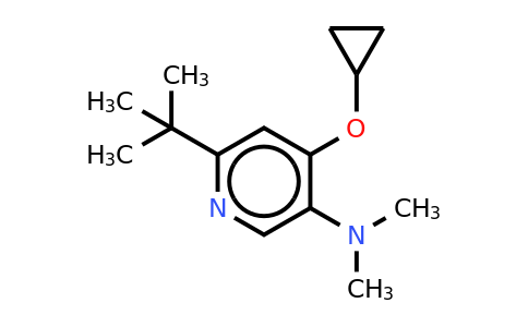 CAS 1243345-88-1 | 6-Tert-butyl-4-cyclopropoxy-N,n-dimethylpyridin-3-amine