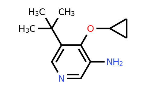 CAS 1243345-94-9 | 5-Tert-butyl-4-cyclopropoxypyridin-3-amine