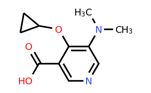 CAS 1243345-98-3 | 4-Cyclopropoxy-5-(dimethylamino)nicotinic acid