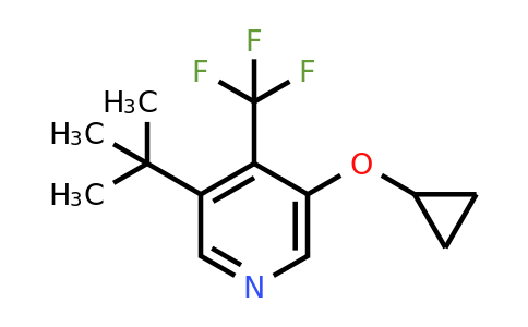 CAS 1243346-01-1 | 3-Tert-butyl-5-cyclopropoxy-4-(trifluoromethyl)pyridine