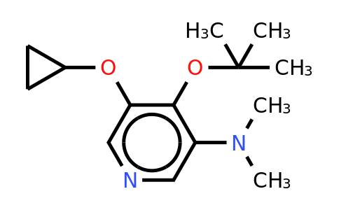 CAS 1243346-02-2 | 4-Tert-butoxy-5-cyclopropoxy-N,n-dimethylpyridin-3-amine