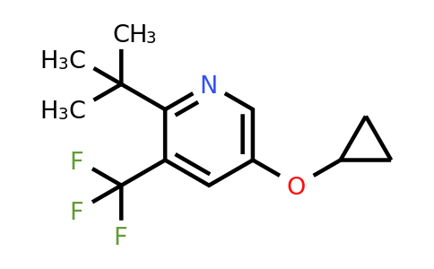CAS 1243346-07-7 | 2-Tert-butyl-5-cyclopropoxy-3-(trifluoromethyl)pyridine