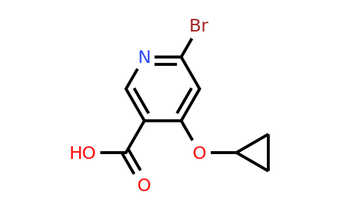 CAS 1243346-21-5 | 6-Bromo-4-cyclopropoxynicotinic acid