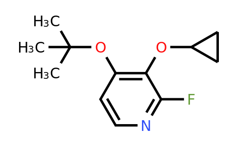 CAS 1243346-53-3 | 4-Tert-butoxy-3-cyclopropoxy-2-fluoropyridine
