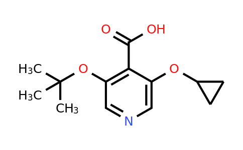 CAS 1243346-58-8 | 3-Tert-butoxy-5-cyclopropoxyisonicotinic acid