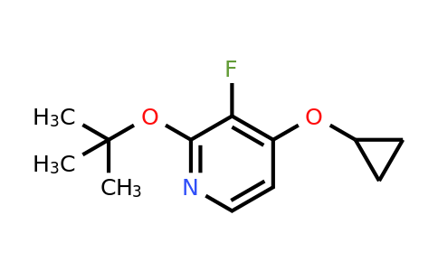 CAS 1243346-85-1 | 2-Tert-butoxy-4-cyclopropoxy-3-fluoropyridine