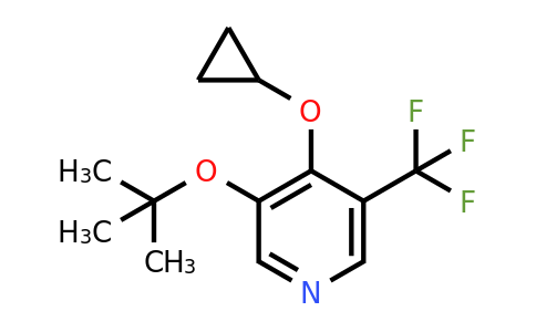 CAS 1243346-87-3 | 3-Tert-butoxy-4-cyclopropoxy-5-(trifluoromethyl)pyridine
