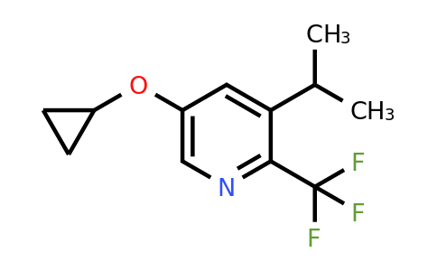 CAS 1243346-95-3 | 5-Cyclopropoxy-3-isopropyl-2-(trifluoromethyl)pyridine