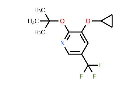 CAS 1243347-02-5 | 2-Tert-butoxy-3-cyclopropoxy-5-(trifluoromethyl)pyridine