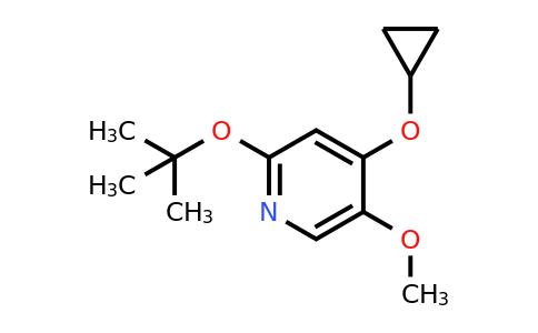 CAS 1243348-57-3 | 2-Tert-butoxy-4-cyclopropoxy-5-methoxypyridine