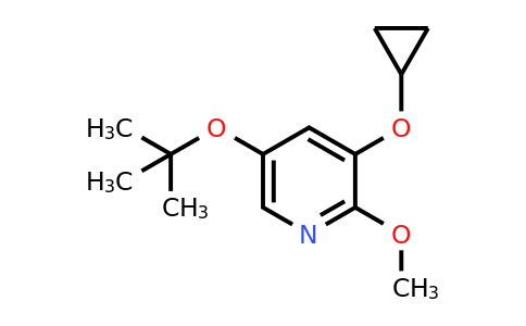 CAS 1243348-80-2 | 5-Tert-butoxy-3-cyclopropoxy-2-methoxypyridine