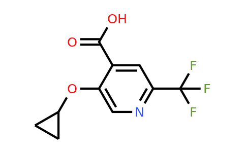 CAS 1243348-90-4 | 5-Cyclopropoxy-2-(trifluoromethyl)isonicotinic acid