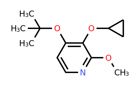 CAS 1243349-63-4 | 4-Tert-butoxy-3-cyclopropoxy-2-methoxypyridine