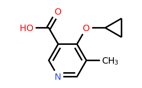 CAS 1243349-86-1 | 4-Cyclopropoxy-5-methylnicotinic acid