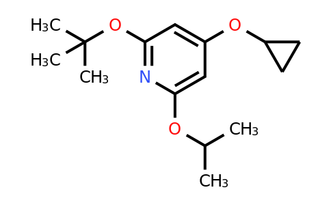 CAS 1243351-08-7 | 2-Tert-butoxy-4-cyclopropoxy-6-isopropoxypyridine