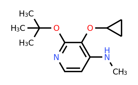 CAS 1243352-63-7 | 2-Tert-butoxy-3-cyclopropoxy-N-methylpyridin-4-amine