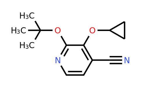 CAS 1243352-71-7 | 2-Tert-butoxy-3-cyclopropoxyisonicotinonitrile