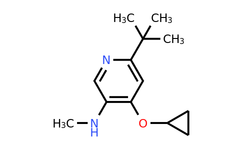 CAS 1243352-78-4 | 6-Tert-butyl-4-cyclopropoxy-N-methylpyridin-3-amine
