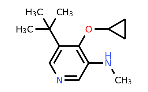 CAS 1243352-96-6 | 5-Tert-butyl-4-cyclopropoxy-N-methylpyridin-3-amine