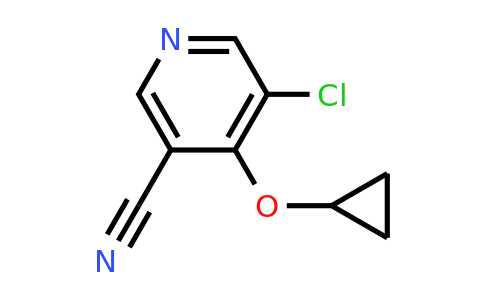 CAS 1243353-02-7 | 5-Chloro-4-cyclopropoxynicotinonitrile