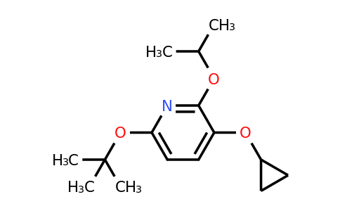 CAS 1243353-43-6 | 6-Tert-butoxy-3-cyclopropoxy-2-isopropoxypyridine