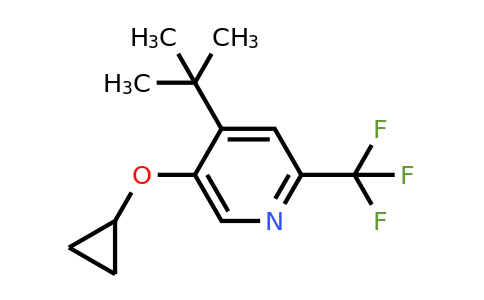 CAS 1243355-18-1 | 4-Tert-butyl-5-cyclopropoxy-2-(trifluoromethyl)pyridine