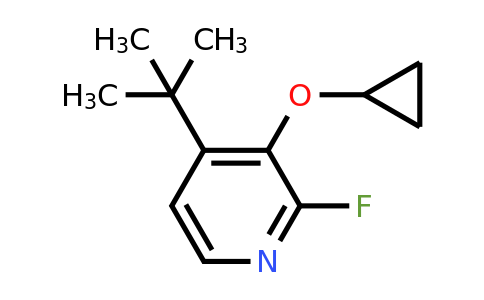 CAS 1243355-42-1 | 4-Tert-butyl-3-cyclopropoxy-2-fluoropyridine