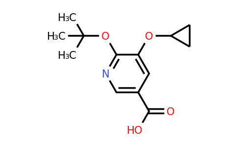 CAS 1243357-11-0 | 6-Tert-butoxy-5-cyclopropoxynicotinic acid