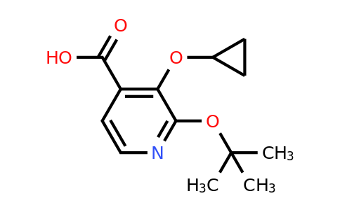CAS 1243357-27-8 | 2-Tert-butoxy-3-cyclopropoxyisonicotinic acid