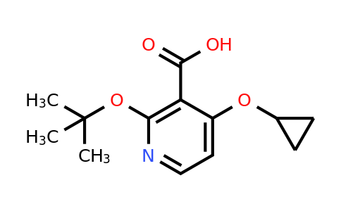 CAS 1243357-42-7 | 2-Tert-butoxy-4-cyclopropoxynicotinic acid