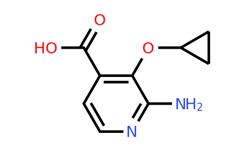 CAS 1243358-93-1 | 2-Amino-3-cyclopropoxyisonicotinic acid
