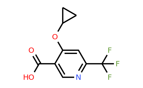 CAS 1243359-02-5 | 4-Cyclopropoxy-6-(trifluoromethyl)nicotinic acid