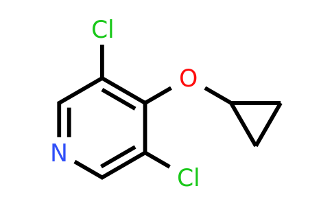 CAS 1243360-20-4 | 3,5-Dichloro-4-cyclopropoxypyridine