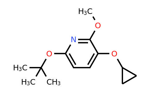 CAS 1243361-37-6 | 6-Tert-butoxy-3-cyclopropoxy-2-methoxypyridine