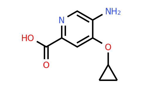 CAS 1243362-63-1 | 5-Amino-4-cyclopropoxypicolinic acid