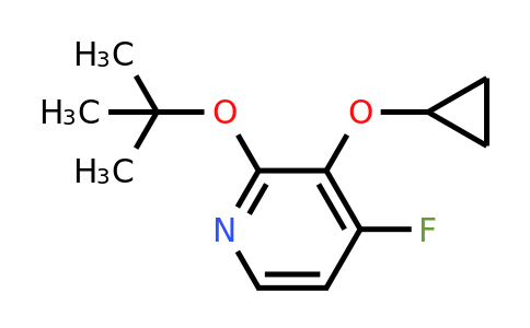 CAS 1243363-20-3 | 2-Tert-butoxy-3-cyclopropoxy-4-fluoropyridine