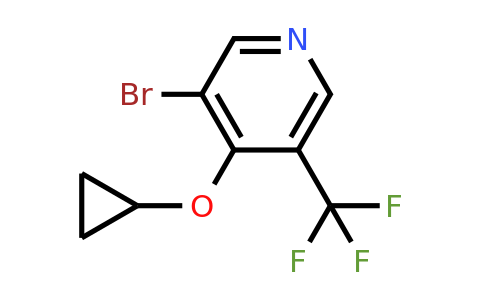 CAS 1243363-21-4 | 3-Bromo-4-cyclopropoxy-5-(trifluoromethyl)pyridine