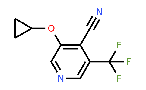 CAS 1243363-82-7 | 3-Cyclopropoxy-5-(trifluoromethyl)isonicotinonitrile