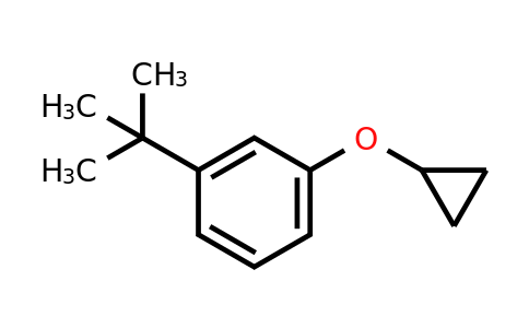 CAS 1243368-24-2 | 1-Tert-butyl-3-cyclopropoxybenzene