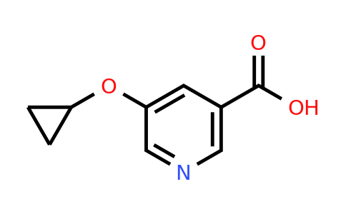 CAS 1243368-67-3 | 5-Cyclopropoxynicotinic acid