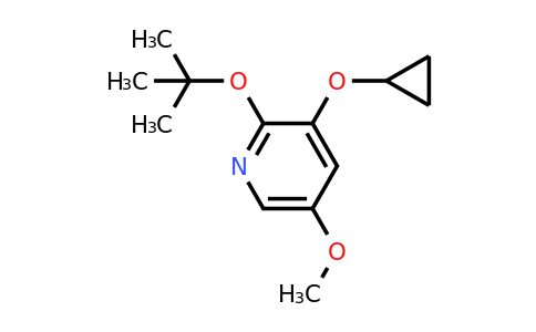 CAS 1243368-83-3 | 2-Tert-butoxy-3-cyclopropoxy-5-methoxypyridine